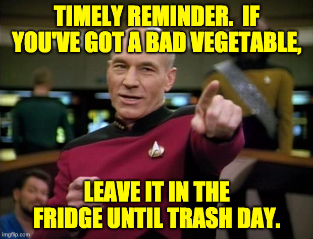 Picard | TIMELY REMINDER.  IF YOU'VE GOT A BAD VEGETABLE, LEAVE IT IN THE FRIDGE UNTIL TRASH DAY. | image tagged in picard | made w/ Imgflip meme maker