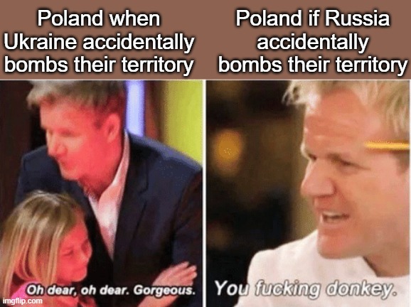 Bem bem! |  Poland when Ukraine accidentally bombs their territory; Poland if Russia accidentally bombs their territory | image tagged in gordon ramsey talking to kids vs talking to adults,russia,poland,bomb,ukraine | made w/ Imgflip meme maker