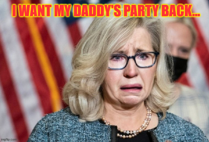 Liz Cheney | I WANT MY DADDY'S PARTY BACK... | image tagged in liz cheney | made w/ Imgflip meme maker