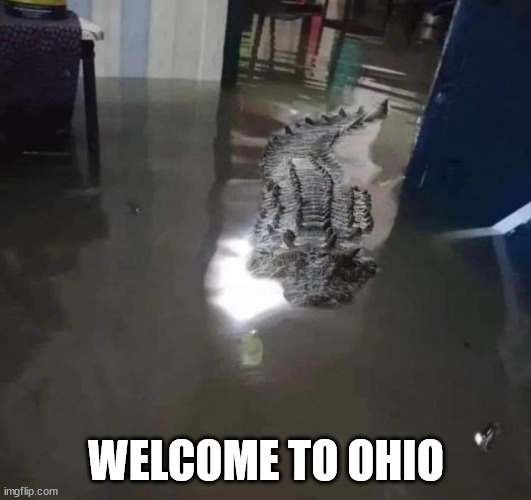 Welcome to Florida | WELCOME TO OHIO | image tagged in welcome to florida | made w/ Imgflip meme maker