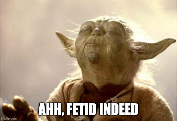 yoda smell | AHH, FETID INDEED | image tagged in yoda smell | made w/ Imgflip meme maker