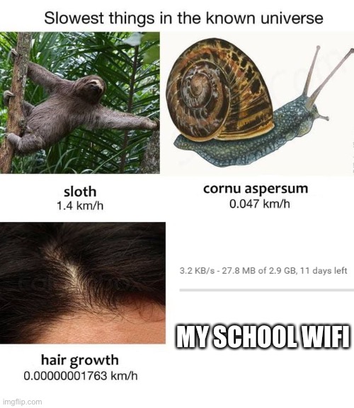 Slowest things | MY SCHOOL WIFI | image tagged in slowest things | made w/ Imgflip meme maker
