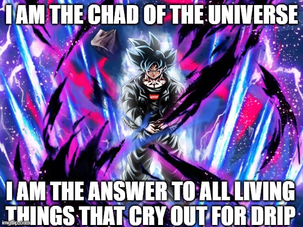 I AM THE CHAD OF THE UNIVERSE; I AM THE ANSWER TO ALL LIVING THINGS THAT CRY OUT FOR DRIP | image tagged in drip | made w/ Imgflip meme maker