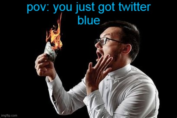 twitter right now | image tagged in twitter,twitter blue,burning money | made w/ Imgflip meme maker