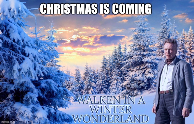 Winter wonderland | CHRISTMAS IS COMING | image tagged in walking in a winter | made w/ Imgflip meme maker