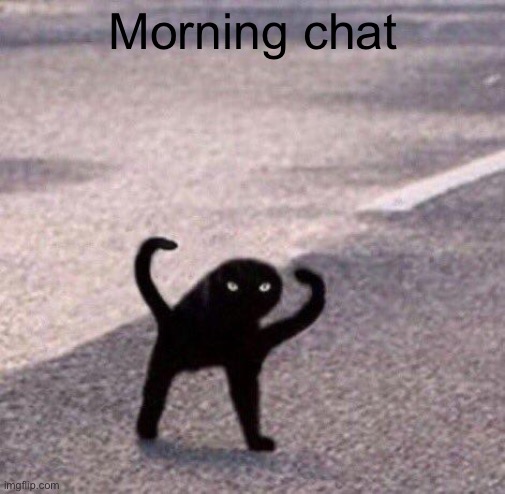 Cursed cat temp | Morning chat | image tagged in cursed cat temp | made w/ Imgflip meme maker
