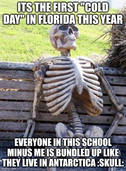 Waiting Skeleton | ITS THE FIRST "COLD DAY" IN FLORIDA THIS YEAR; EVERYONE IN THIS SCHOOL MINUS ME IS BUNDLED UP LIKE THEY LIVE IN ANTARCTICA :SKULL: | image tagged in memes,waiting skeleton | made w/ Imgflip meme maker