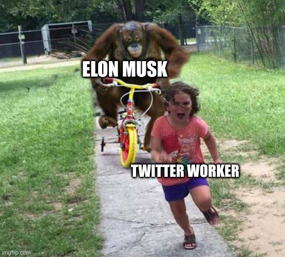 When Elon Musk Bought Twitter |  ELON MUSK; TWITTER WORKER | image tagged in run | made w/ Imgflip meme maker