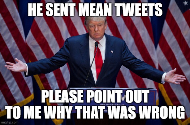 Donald Trump | HE SENT MEAN TWEETS; PLEASE POINT OUT TO ME WHY THAT WAS WRONG | image tagged in donald trump | made w/ Imgflip meme maker