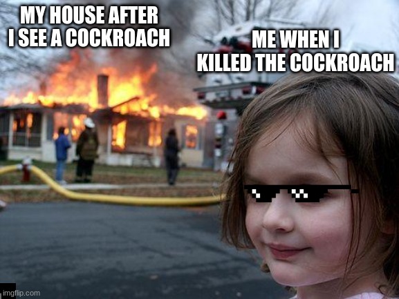 bruh | ME WHEN I KILLED THE COCKROACH; MY HOUSE AFTER I SEE A COCKROACH | image tagged in memes,disaster girl | made w/ Imgflip meme maker