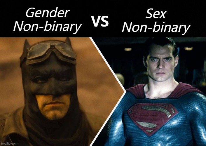 Why biology isn't spoken about | VS; Gender
Non-binary; Sex
Non-binary | image tagged in gender identity,biology,funny,batman vs superman | made w/ Imgflip meme maker