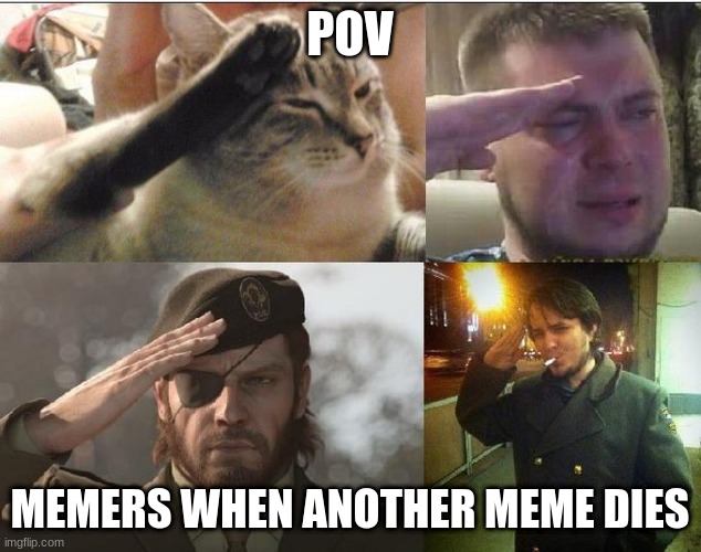 ozons salute | POV; MEMERS WHEN ANOTHER MEME DIES | image tagged in ozon's salute | made w/ Imgflip meme maker