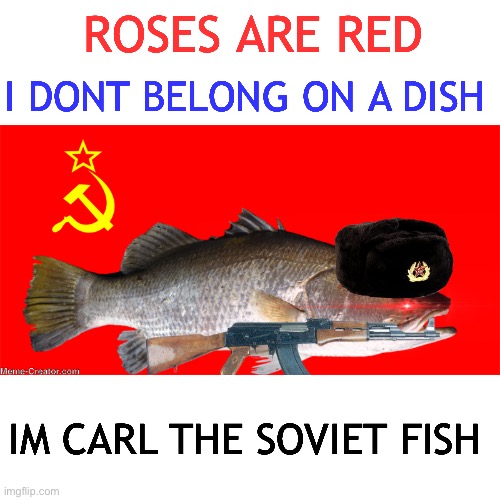 RUSSIARUSIARUSSIARUSSIARUSSIARUSSIARUSSIARUSSIARUSSIARUSSIARUSSIA | ROSES ARE RED; I DONT BELONG ON A DISH; IM CARL THE SOVIET FISH | image tagged in fish,soviet union,fun | made w/ Imgflip meme maker