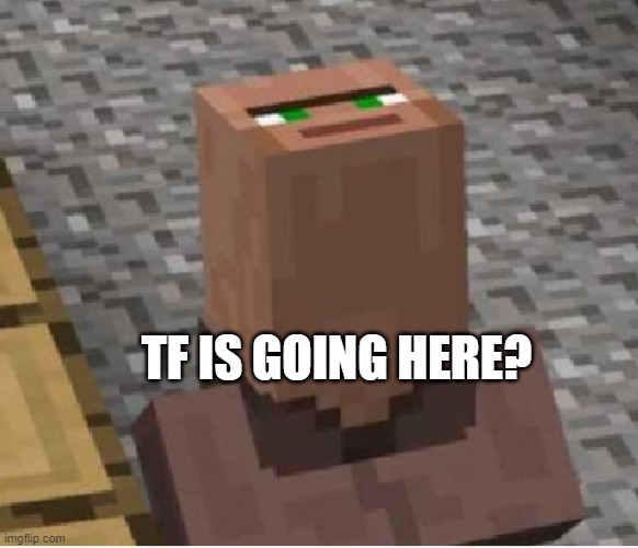 Minecraft Villager Looking Up | TF IS GOING HERE? | image tagged in minecraft villager looking up | made w/ Imgflip meme maker