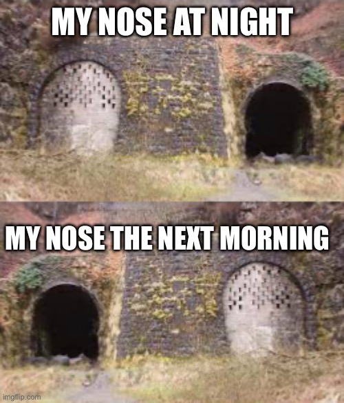 Two tunnels but N O S E | MY NOSE AT NIGHT; MY NOSE THE NEXT MORNING | image tagged in nose | made w/ Imgflip meme maker