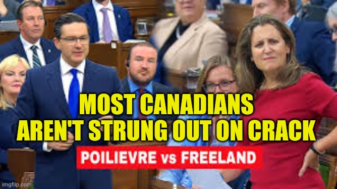 Twitching Like A Cracker |  MOST CANADIANS AREN'T STRUNG OUT ON CRACK | image tagged in poilievre vs freeland,crackhead,twitch,drug addiction,government corruption,something wrong with her | made w/ Imgflip meme maker