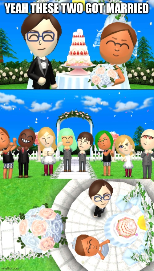 I'll probably make a Mii stream to not annoy the mods of the stream with these | YEAH THESE TWO GOT MARRIED | made w/ Imgflip meme maker