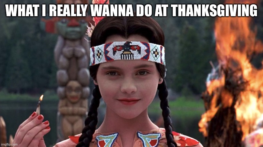 Thanksgiving | WHAT I REALLY WANNA DO AT THANKSGIVING | image tagged in funny,thanksgiving,burn,no thanks | made w/ Imgflip meme maker
