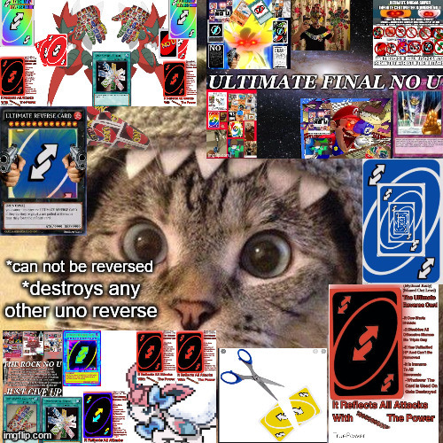shark cat uno reverse | image tagged in shark cat uno reverse | made w/ Imgflip meme maker