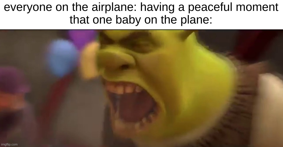 annoying as hell >:((((( | everyone on the airplane: having a peaceful moment
that one baby on the plane: | image tagged in shrek screaming | made w/ Imgflip meme maker