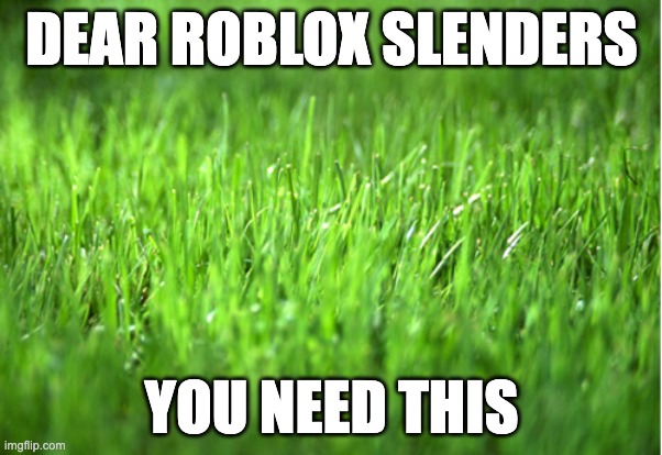 grass | DEAR ROBLOX SLENDERS; YOU NEED THIS | image tagged in grass is greener,grass,funny,roblox,slender | made w/ Imgflip meme maker