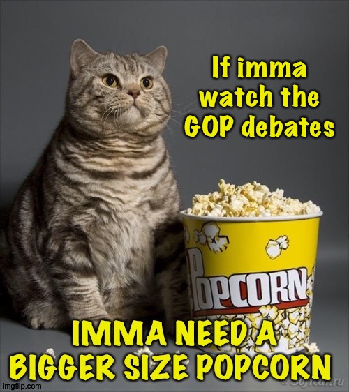 GOP debates funtime | If imma watch the GOP debates | image tagged in popcorn cat | made w/ Imgflip meme maker