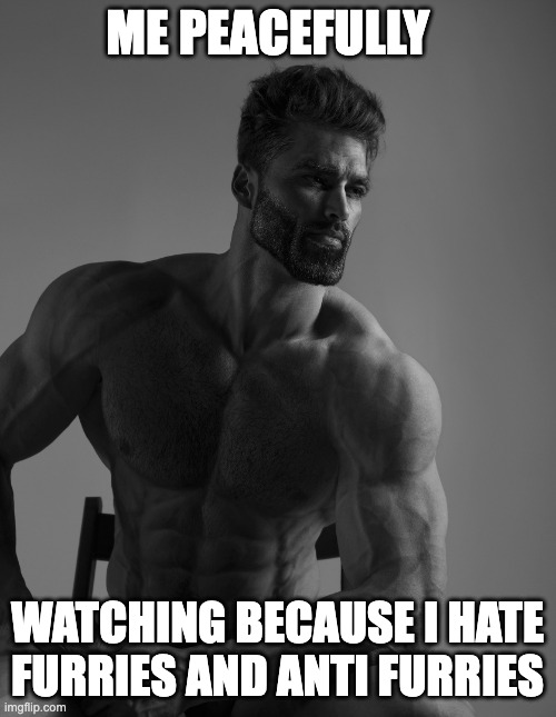 Giga Chad | ME PEACEFULLY WATCHING BECAUSE I HATE FURRIES AND ANTI FURRIES | image tagged in giga chad | made w/ Imgflip meme maker
