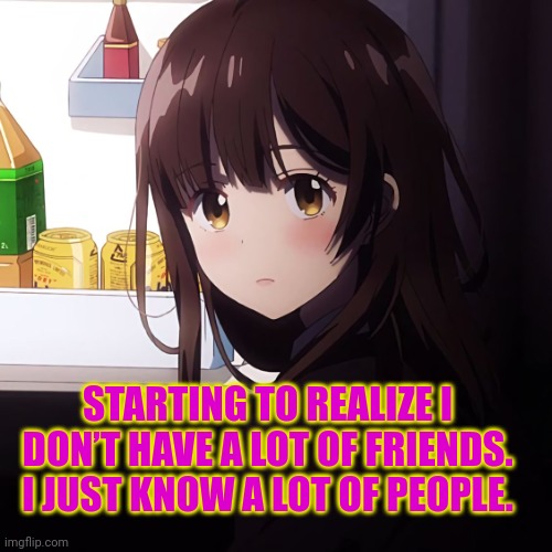Realizing Now | STARTING TO REALIZE I DON’T HAVE A LOT OF FRIENDS. I JUST KNOW A LOT OF PEOPLE. | image tagged in nworth,worthless,sad,lonely,anime girl,anime meme | made w/ Imgflip meme maker