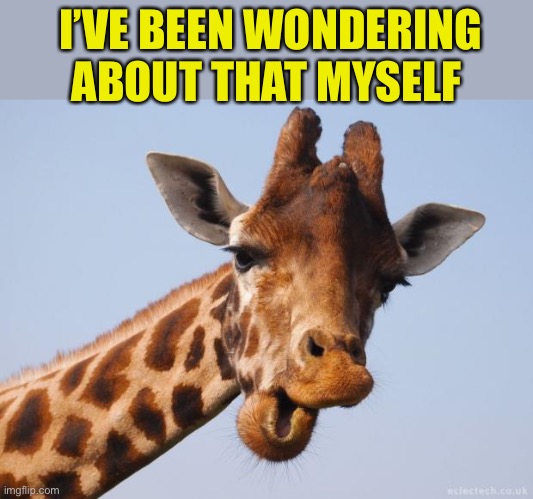 Comeback Giraffe | I’VE BEEN WONDERING ABOUT THAT MYSELF | image tagged in comeback giraffe | made w/ Imgflip meme maker