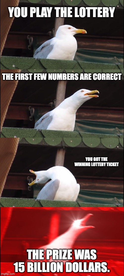 POV: you won the lottery | YOU PLAY THE LOTTERY; THE FIRST FEW NUMBERS ARE CORRECT; YOU GOT THE WINNING LOTTERY TICKET; THE PRIZE WAS 15 BILLION DOLLARS. | image tagged in memes,inhaling seagull,lottery,seagull | made w/ Imgflip meme maker