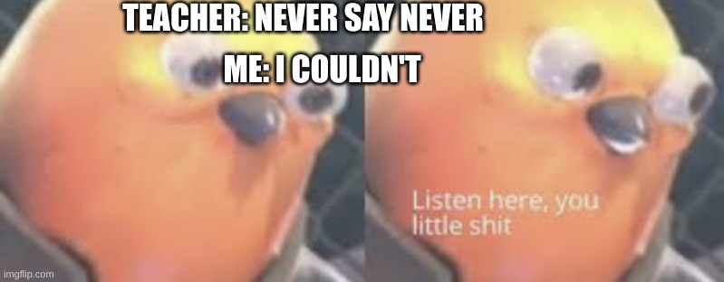 bored | TEACHER: NEVER SAY NEVER; ME: I COULDN'T | image tagged in listen here you little shit bird | made w/ Imgflip meme maker