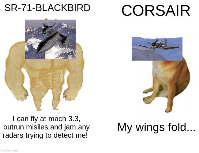 Buff Doge vs. Cheems Meme | SR-71-BLACKBIRD; CORSAIR; I can fly at mach 3.3, outrun misiles and jam any radars trying to detect me! My wings fold... | image tagged in memes,buff doge vs cheems | made w/ Imgflip meme maker