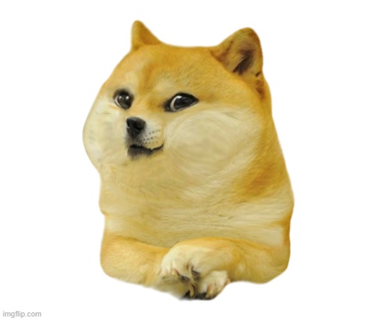 Young Doge | image tagged in rmk | made w/ Imgflip meme maker