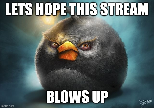 angry birds bomb | LETS HOPE THIS STREAM; BLOWS UP | image tagged in angry birds bomb | made w/ Imgflip meme maker