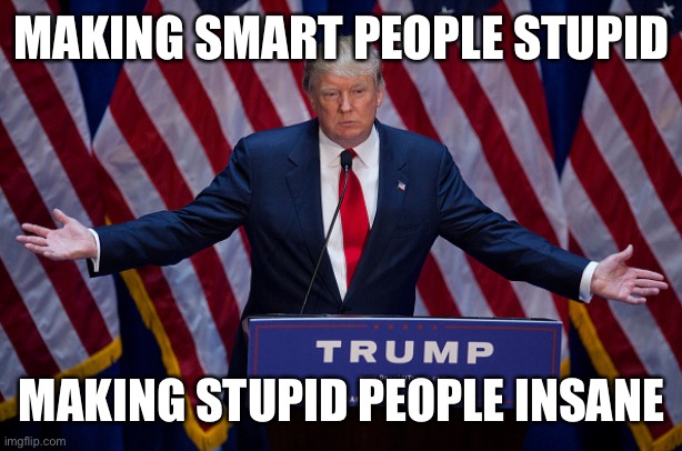 Donald Trump | MAKING SMART PEOPLE STUPID MAKING STUPID PEOPLE INSANE | image tagged in donald trump | made w/ Imgflip meme maker