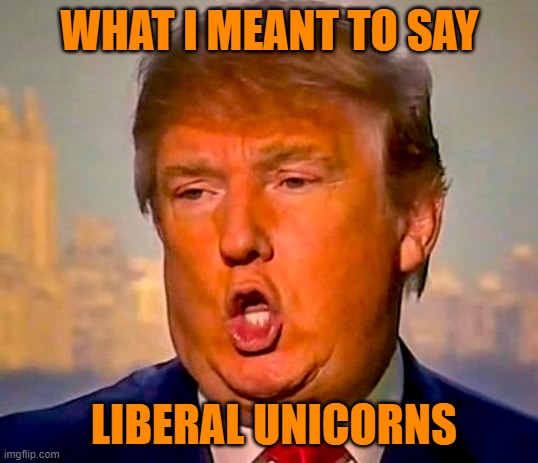 Trump Orange | WHAT I MEANT TO SAY LIBERAL UNICORNS | image tagged in trump orange | made w/ Imgflip meme maker