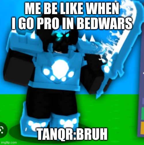 Bedwars | ME BE LIKE WHEN I GO PRO IN BEDWARS; TANQR:BRUH | image tagged in funny memes | made w/ Imgflip meme maker