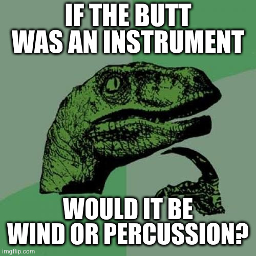 Make it sing or make it clap |  IF THE BUTT WAS AN INSTRUMENT; WOULD IT BE WIND OR PERCUSSION? | image tagged in memes,philosoraptor | made w/ Imgflip meme maker