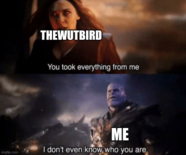 You took everything from me - I don't even know who you are | THEWUTBIRD ME | image tagged in you took everything from me - i don't even know who you are | made w/ Imgflip meme maker