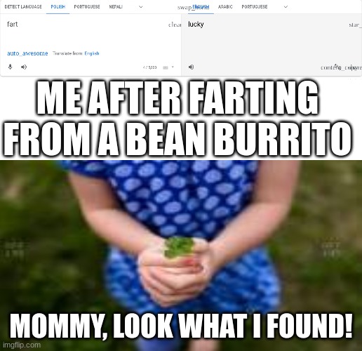 ME AFTER FARTING FROM A BEAN BURRITO; MOMMY, LOOK WHAT I FOUND! | image tagged in google translate,fart | made w/ Imgflip meme maker