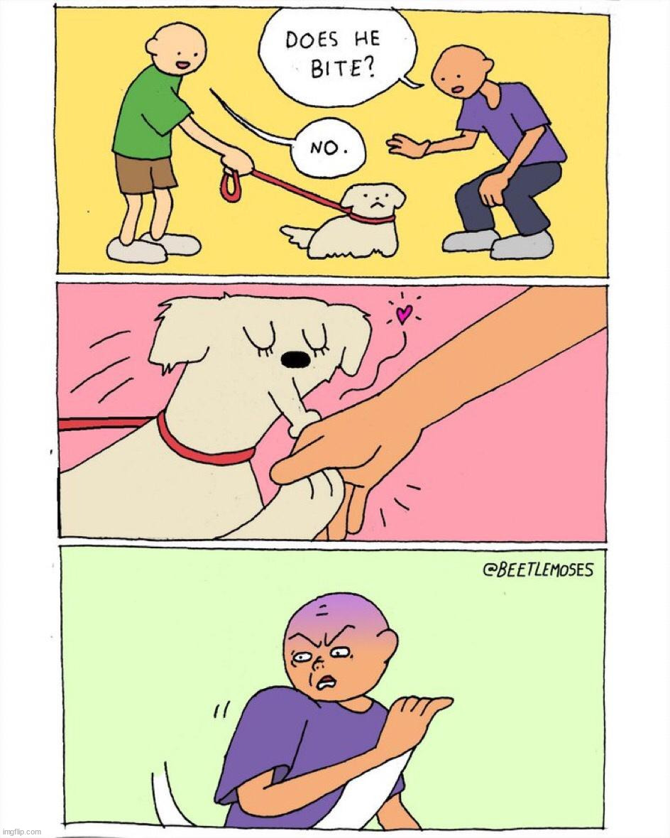 image tagged in comics | made w/ Imgflip meme maker