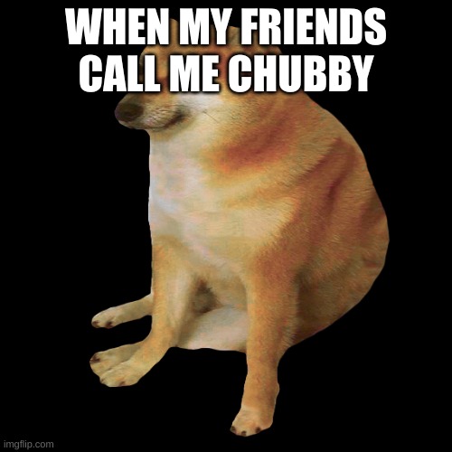 WHEN MY FRIENDS CALL ME CHUBBY | image tagged in cheems | made w/ Imgflip meme maker