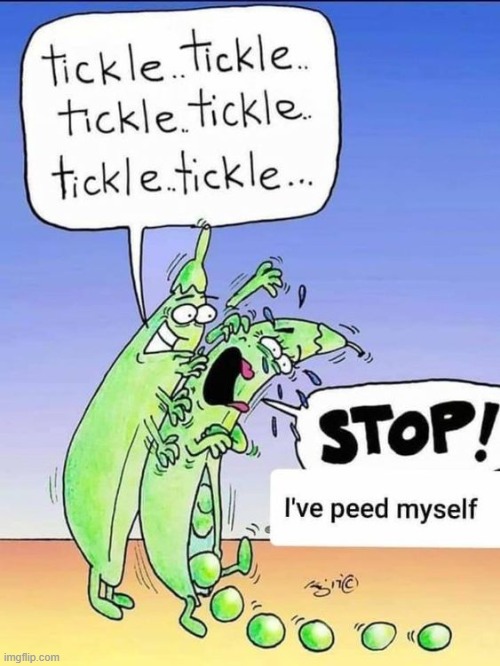 image tagged in puns | made w/ Imgflip meme maker