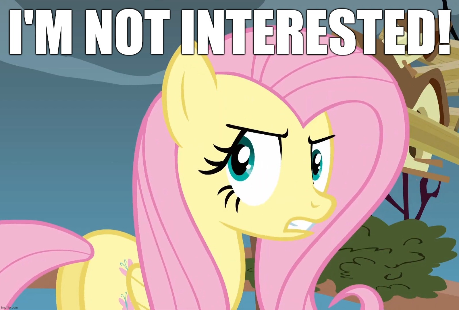 I'M NOT INTERESTED! | made w/ Imgflip meme maker