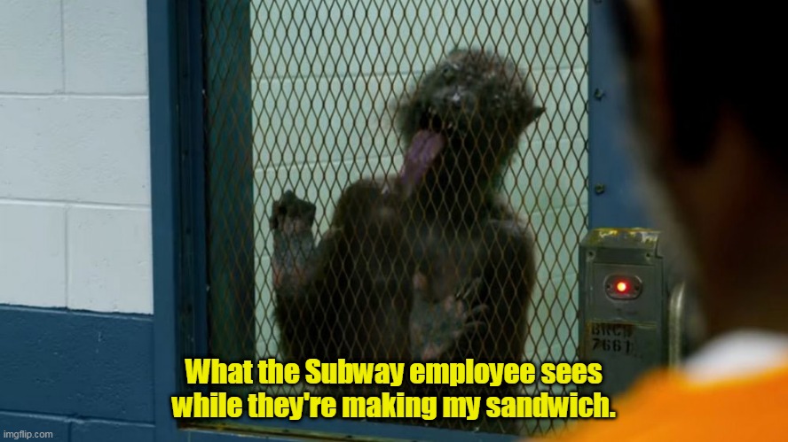 Please hurry. | What the Subway employee sees while they're making my sandwich. | image tagged in what my microwave sees,funny | made w/ Imgflip meme maker