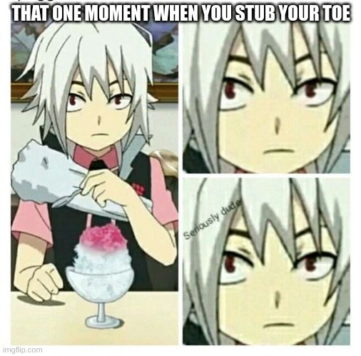 toe pain | THAT ONE MOMENT WHEN YOU STUB YOUR TOE | image tagged in beyblade burst seriously dude | made w/ Imgflip meme maker