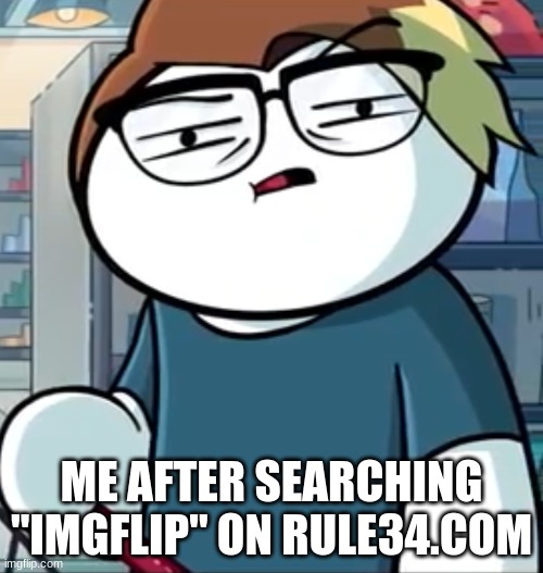 What the ...? | ME AFTER SEARCHING "IMGFLIP" ON RULE34.COM | image tagged in what the | made w/ Imgflip meme maker