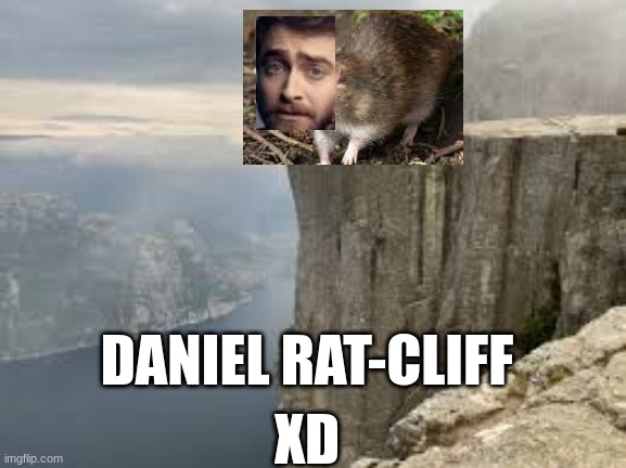 top tier internet humor | DANIEL RAT-CLIFF; XD | image tagged in funny,daniel radcliffe,rat,memes | made w/ Imgflip meme maker