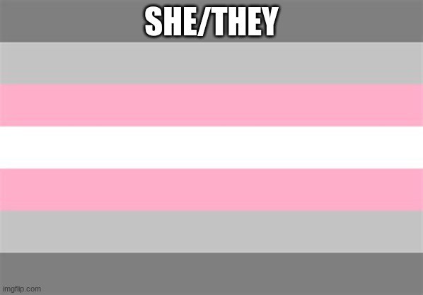 Demigirl flag | SHE/THEY | image tagged in demigirl flag | made w/ Imgflip meme maker