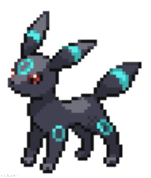 what do you think of rocky? type in the comments below | image tagged in rocky the umbreon | made w/ Imgflip meme maker